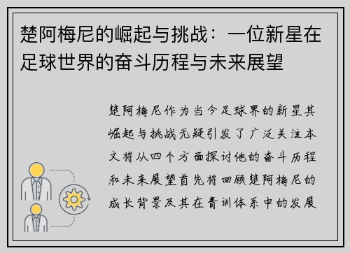 楚阿梅尼的崛起与挑战：一位新星在足球世界的奋斗历程与未来展望