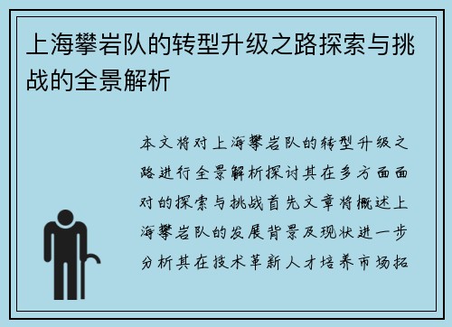 上海攀岩队的转型升级之路探索与挑战的全景解析