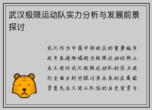 武汉极限运动队实力分析与发展前景探讨