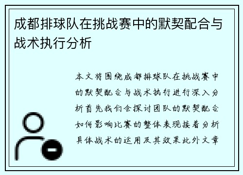 成都排球队在挑战赛中的默契配合与战术执行分析