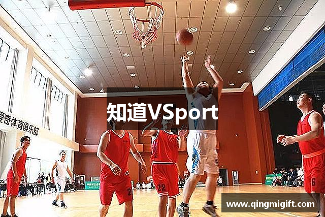知道VSport